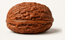 Millstone Wenwan walnut variety