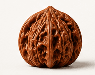 Official Hat Wenwan walnut variety