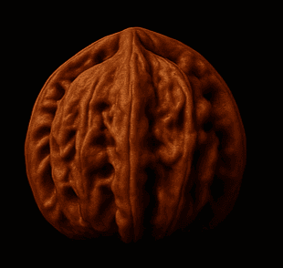 Millstone Wenwan Walnut