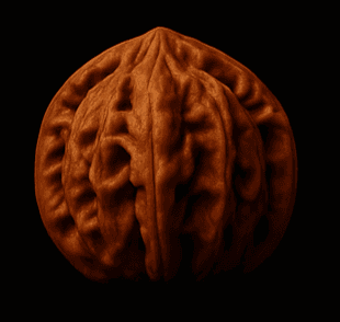 Official Hat Wenwan Walnut