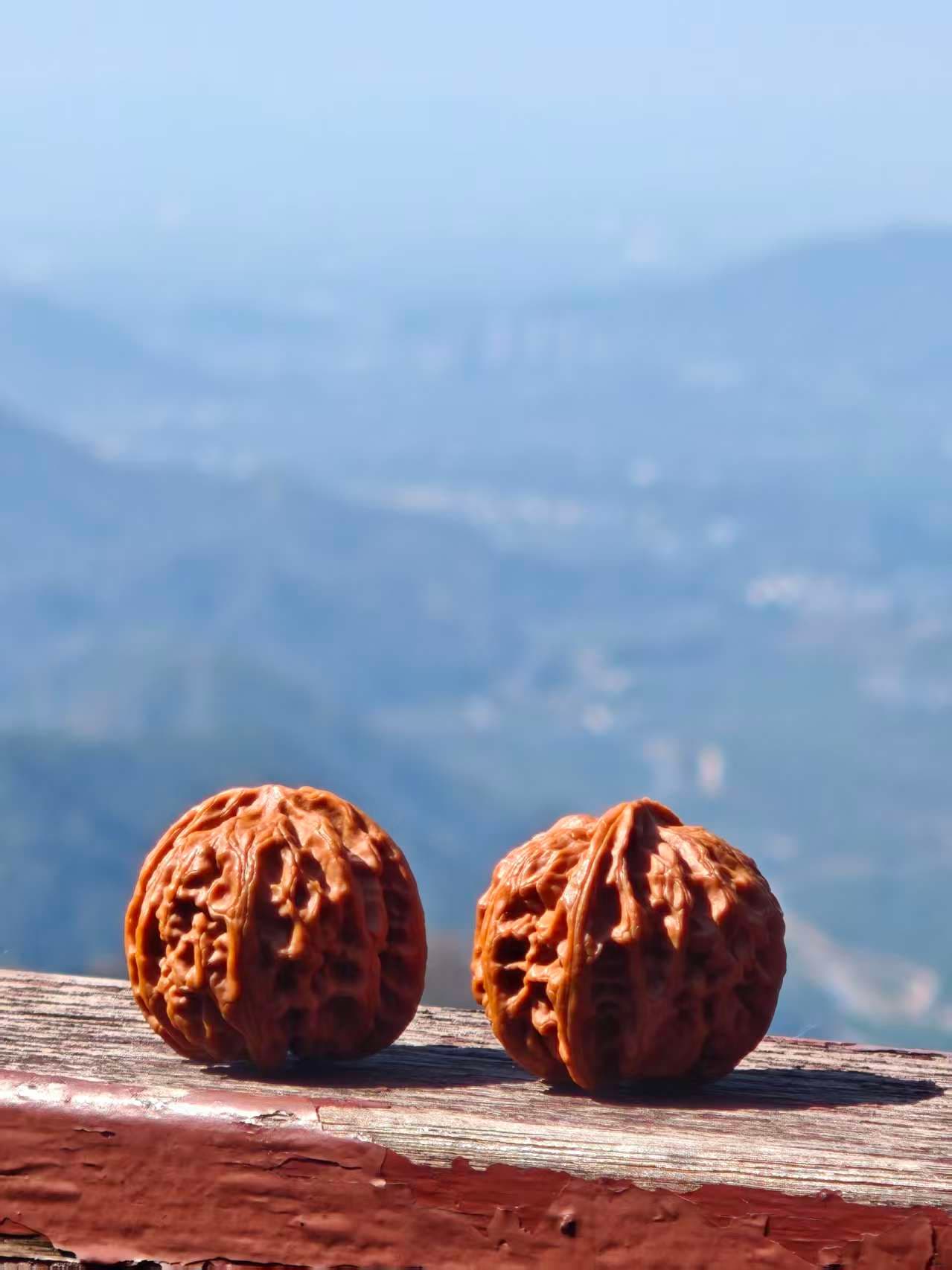 Selected Walnut - 10