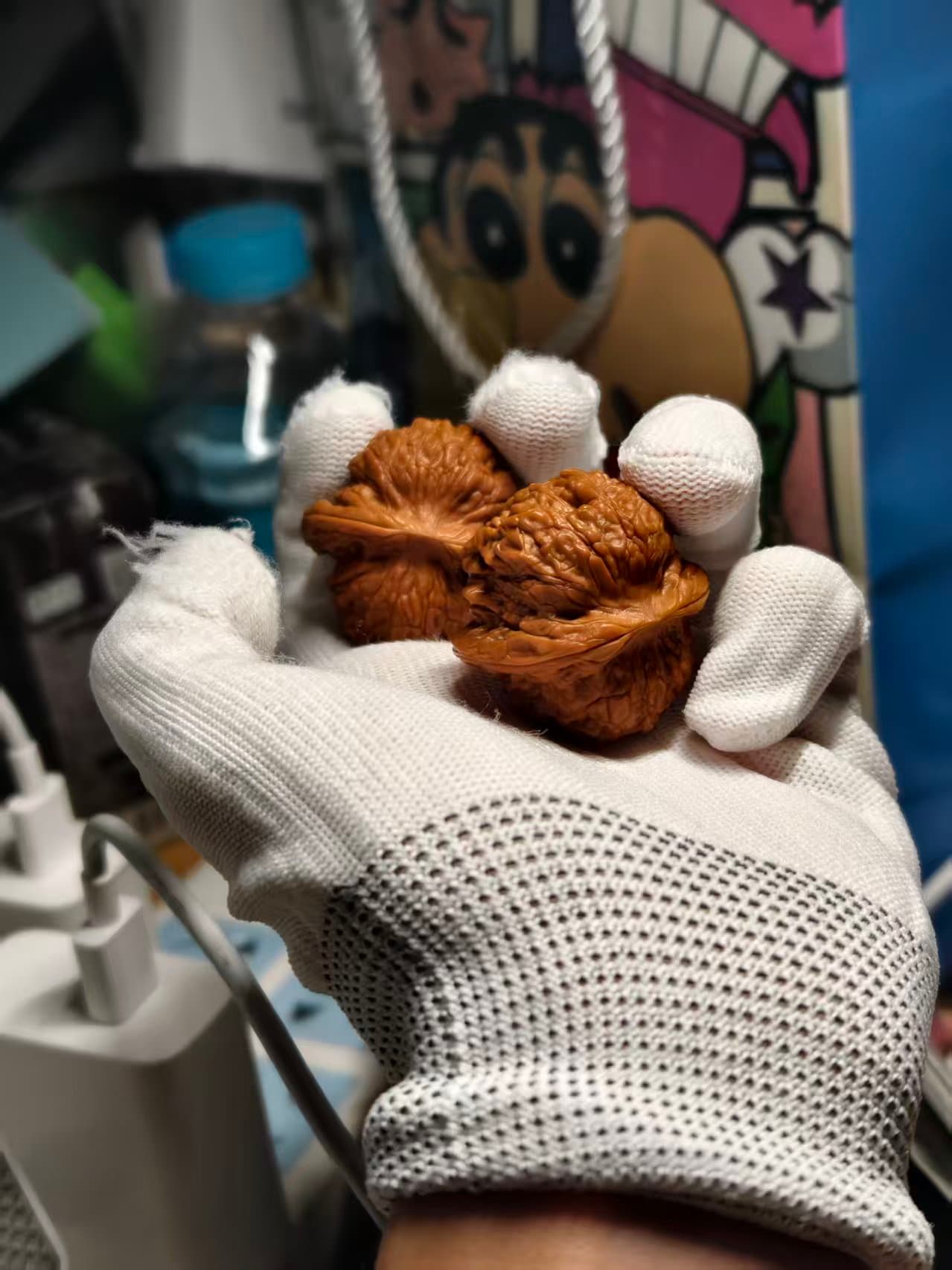 Selected Walnut - 14