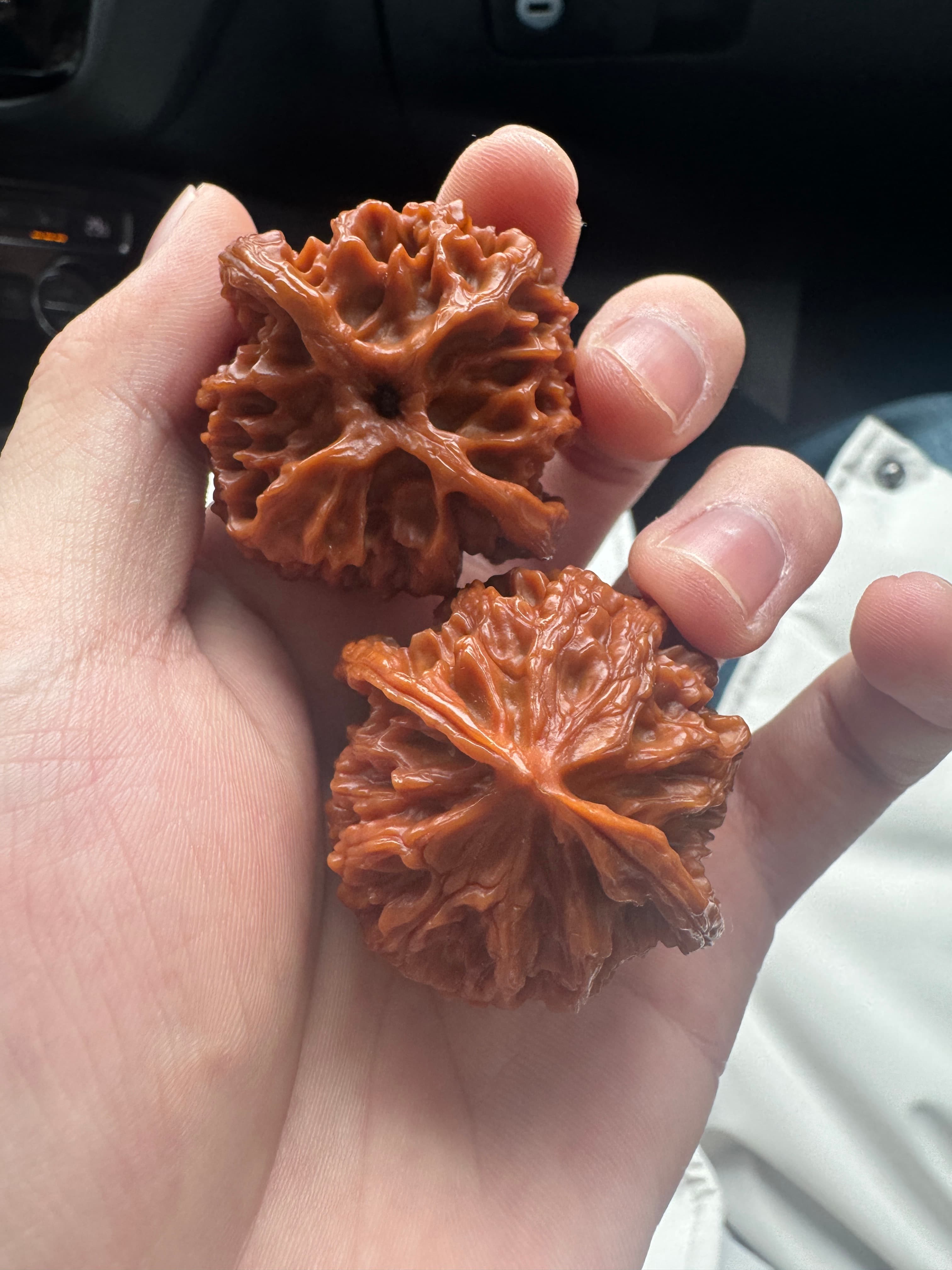 Selected Walnut - 16