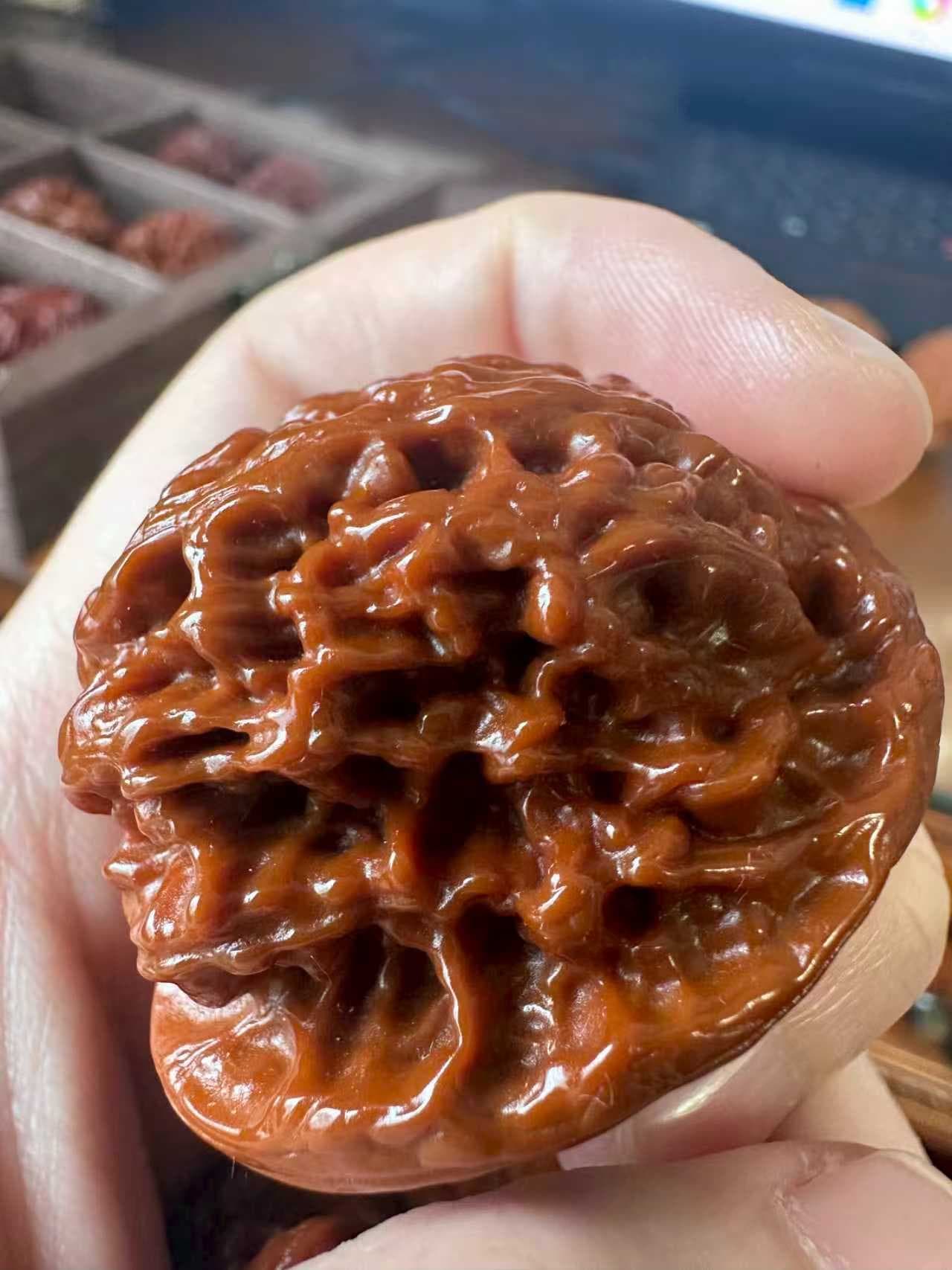 Selected Walnut - 23